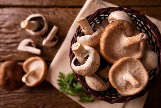 Shitake