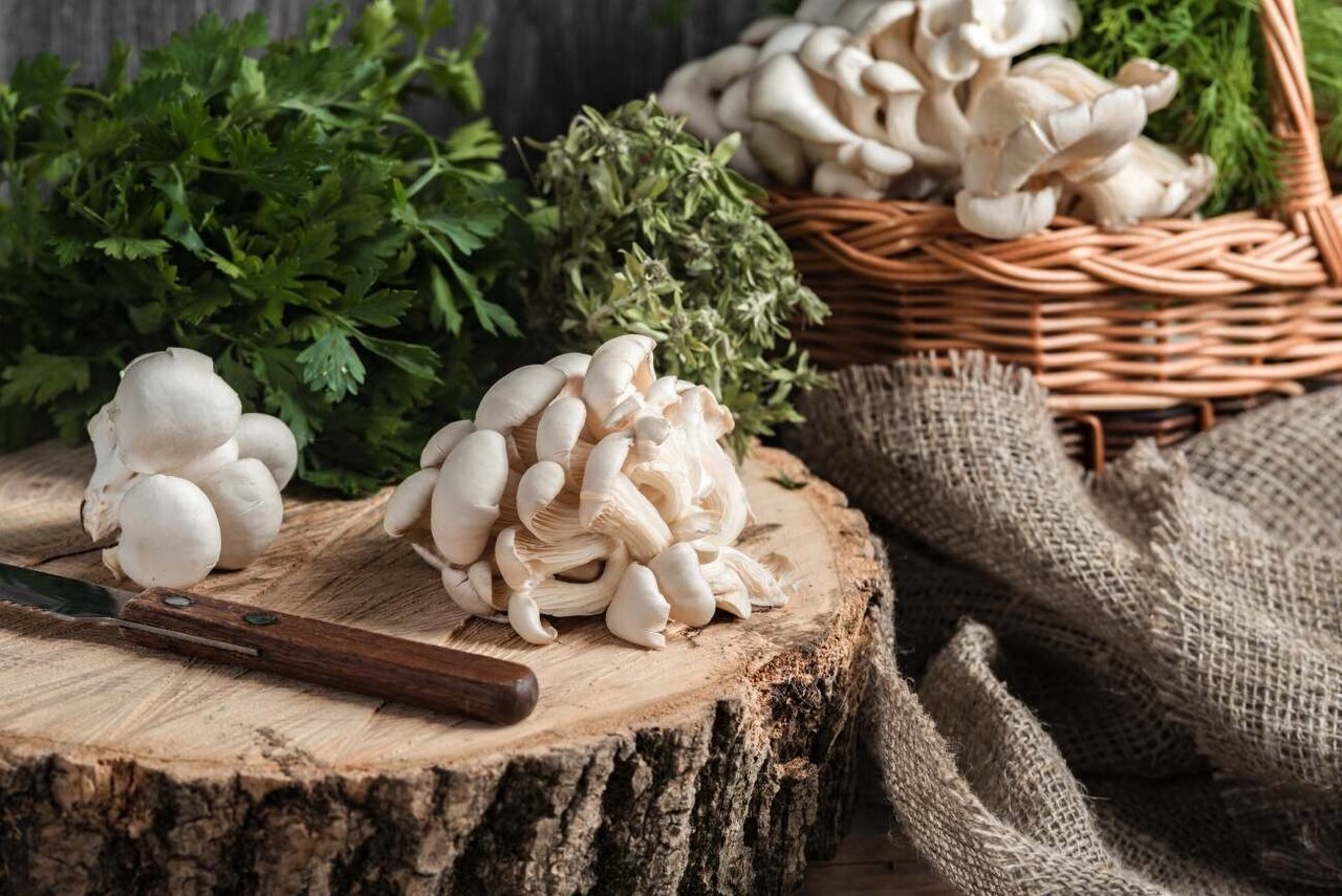 Jak przyrządzić boczniaki? Jak długo gotować lub smażyć ten rodzaj grzybów?
