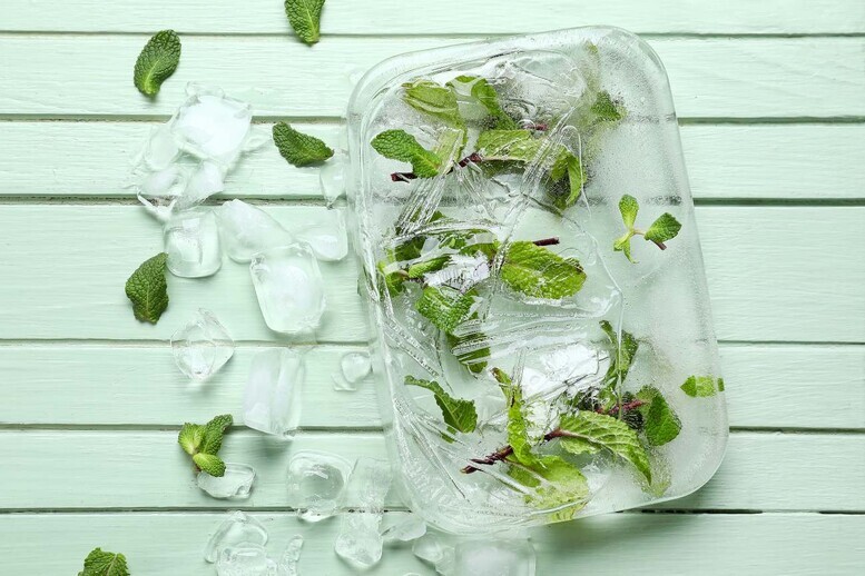 Czy miętę można mrozić? Jak to robić?