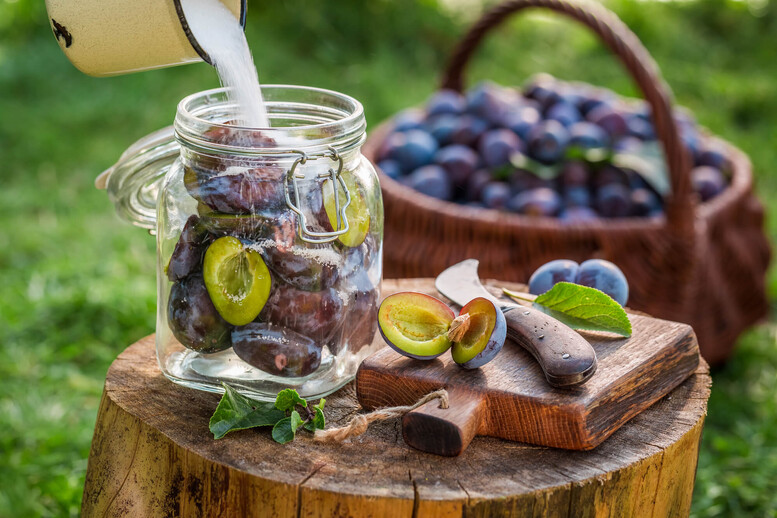 Jakie śliwki na kompot wigilijny? Jakie inne owoce suszyć do kompotu?