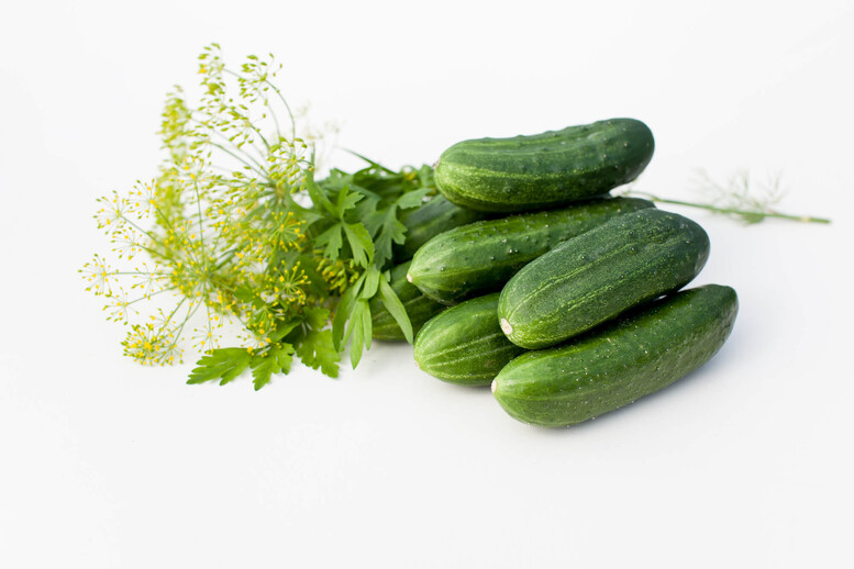 Przetwory z ogórków – nowości i klasyczne przepisy. Jakie przygotować na zimę?