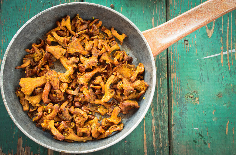 Ile smażyć kurki – mrożone lub świeże? Jak to zrobić dobrze?