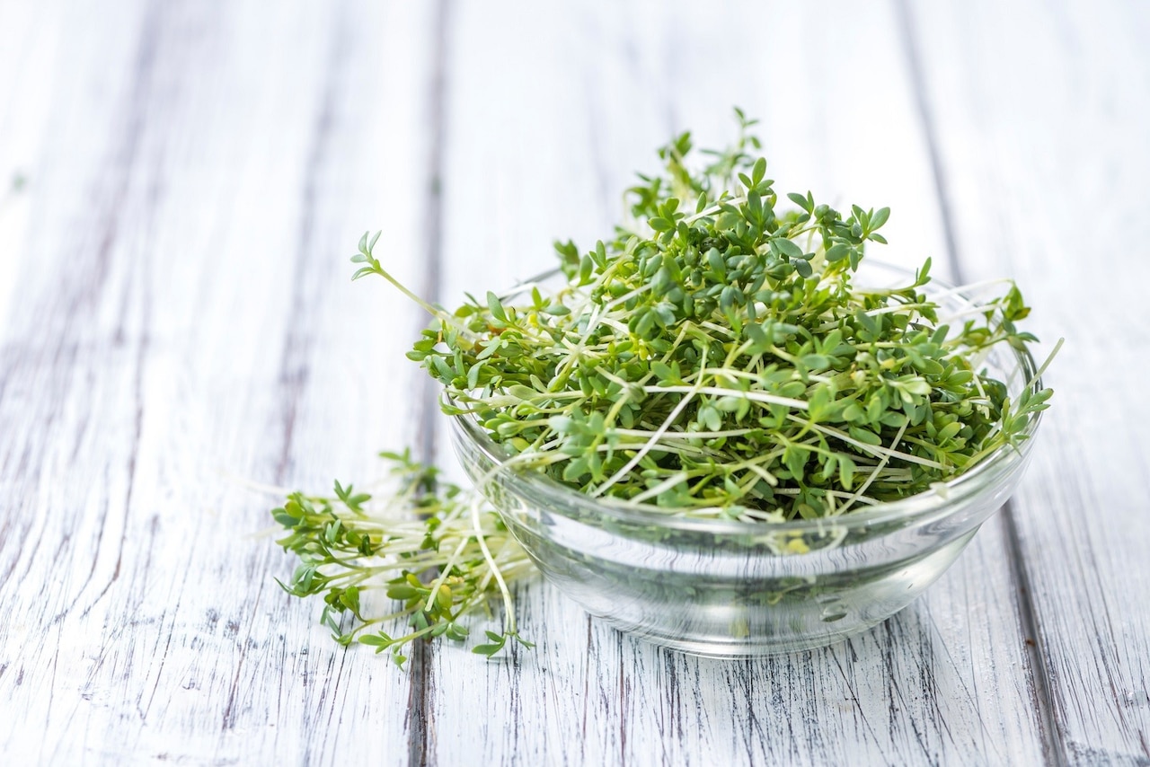 Jak zasadzić rzeżuchę?