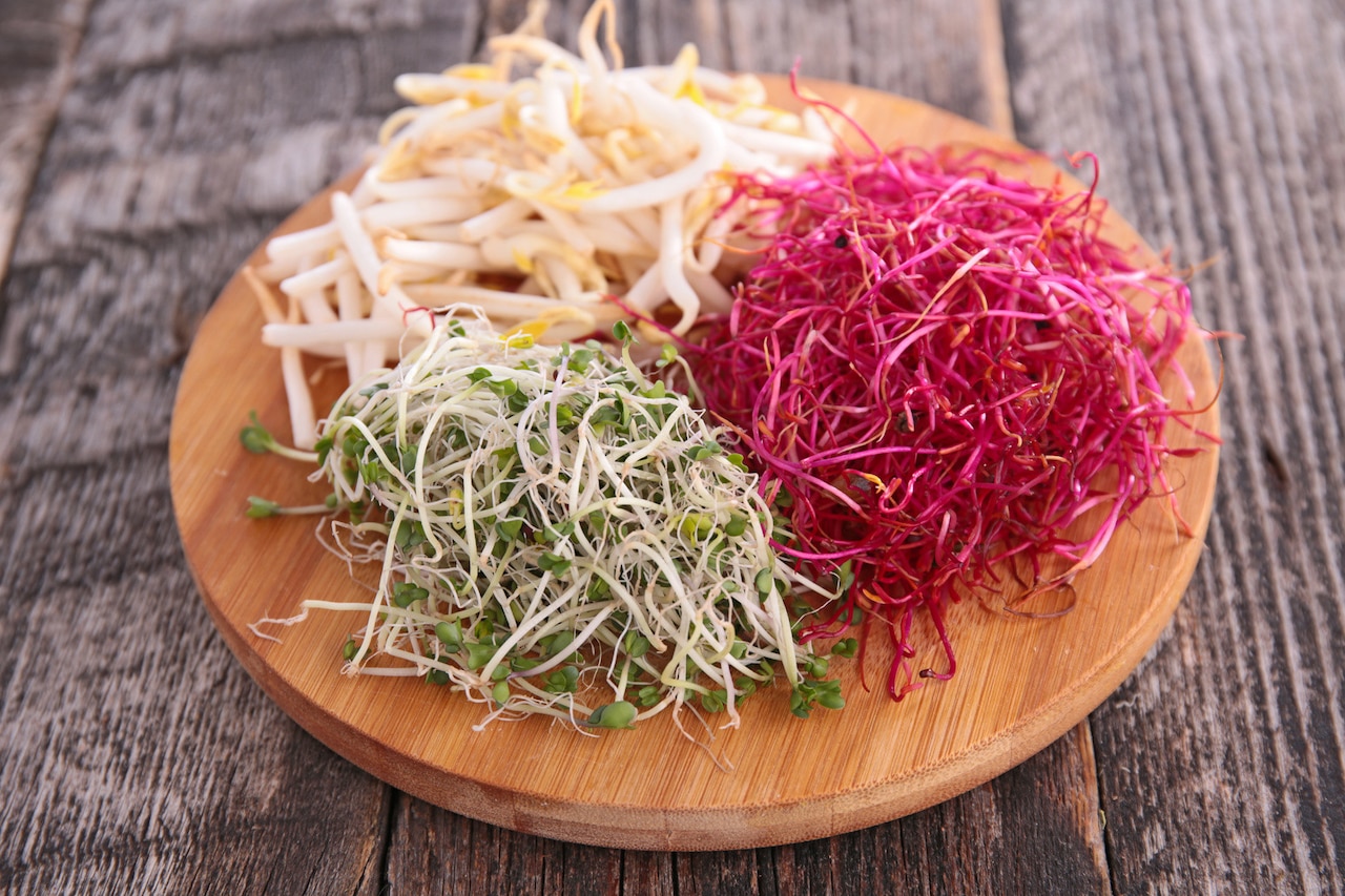 Jak wyhodować kiełki?