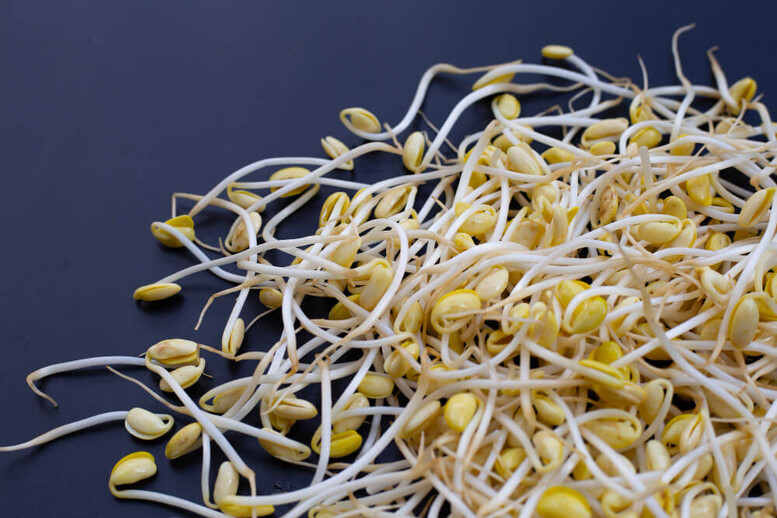 Kiełki soi – czym zastąpić? Co zamiast nich?