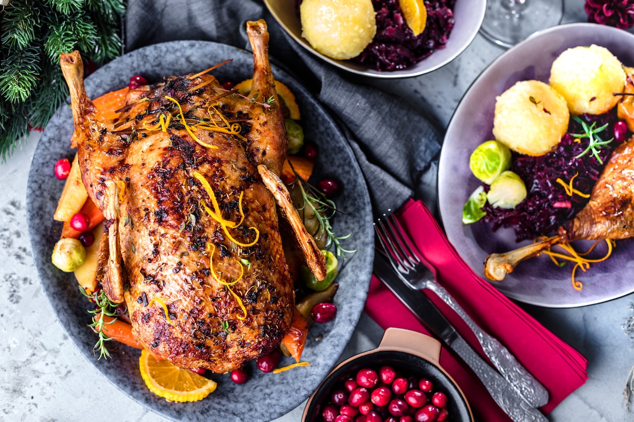 Kaczka mile widziana