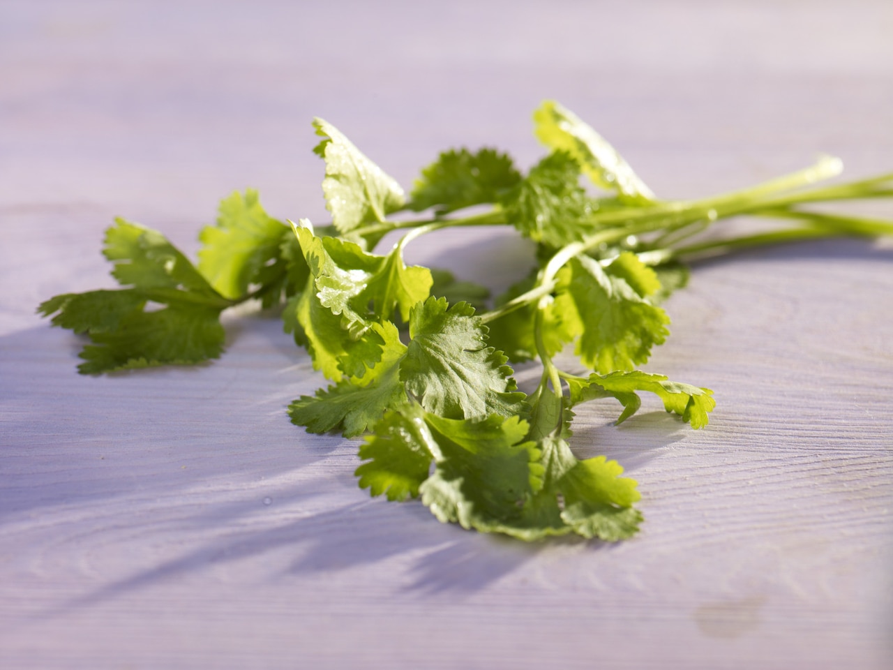 Smaki kuchni meksykańskiej