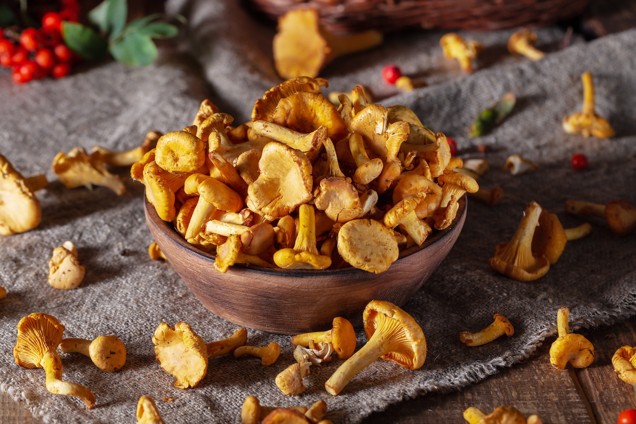 Kurki - dają popalić