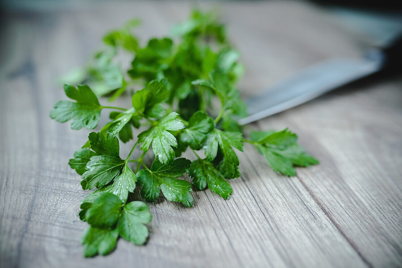 Jak przechowywać natkę pietruszki na zimę? Czy można ją mrozić?