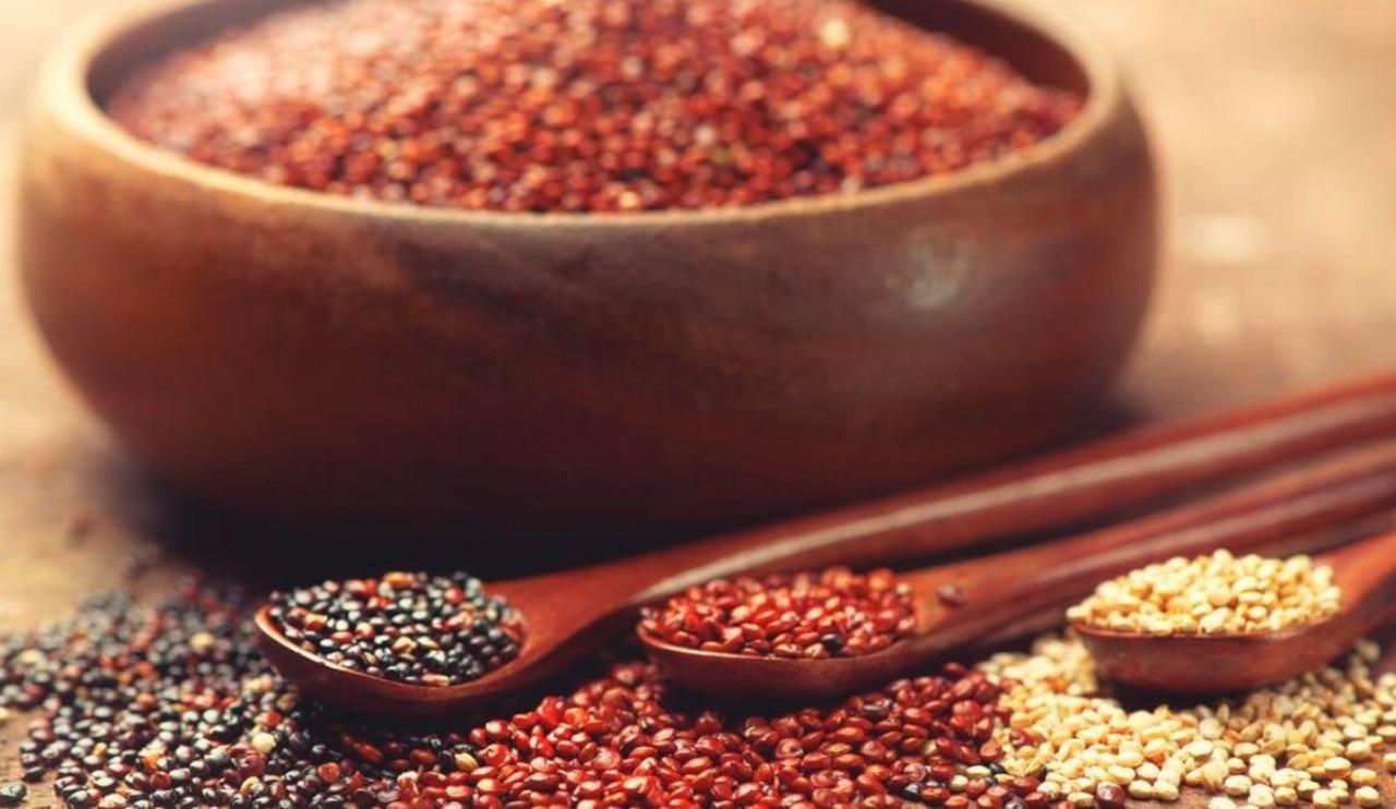 O „50 Roślinach Przyszłości”