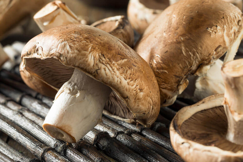 Portobello – co to jest? Czy te pieczarki się obiera?