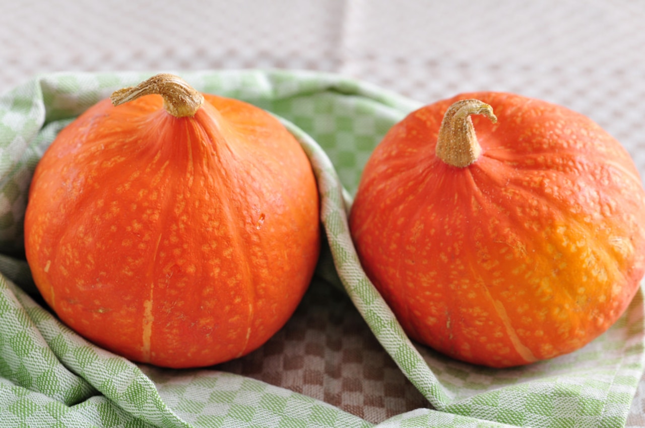 Hokkaido i inne. Pieczona dynia.