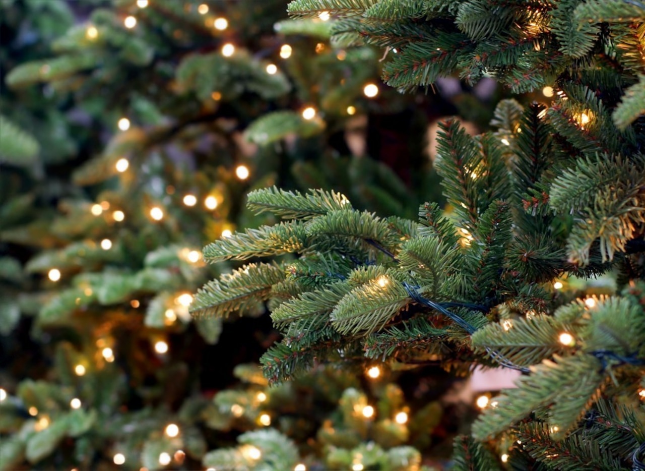 Przygotowania do Świąt. Ciąg dalszy.