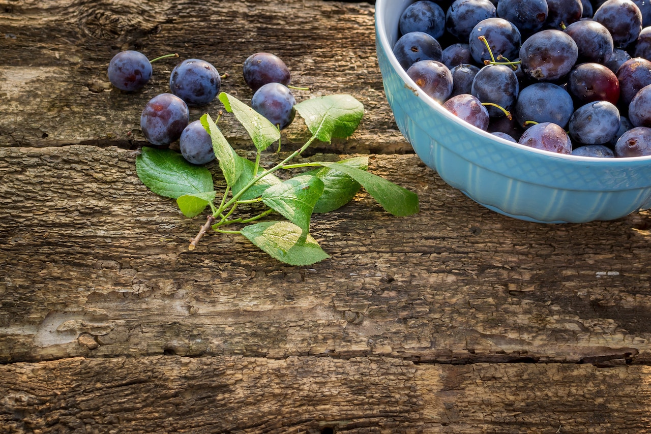 Śliwka - wpada nie tylko do kompotu