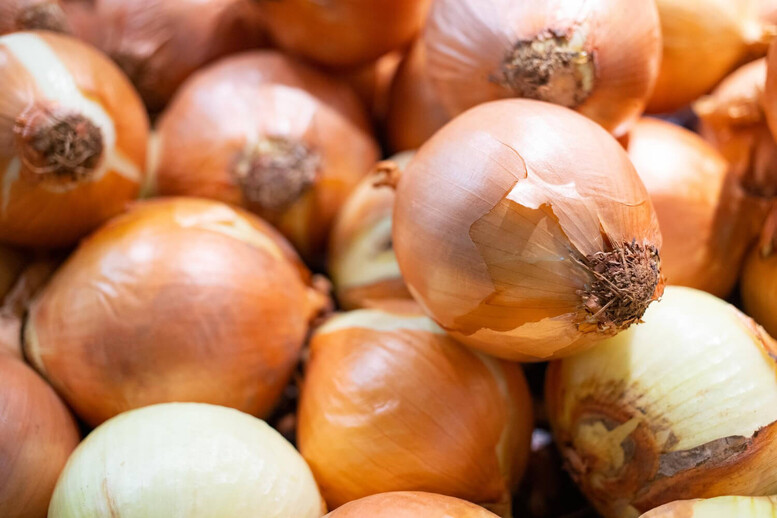 Jak przechowywać cebulę na zimę? Czy można to robić w lodówce?