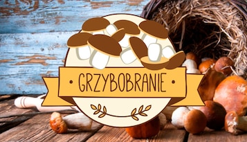 Grzybobranie