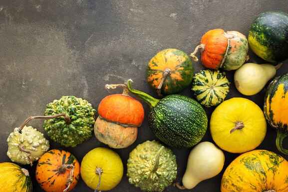Rodzaje dyni – odmiany. Jakie są?