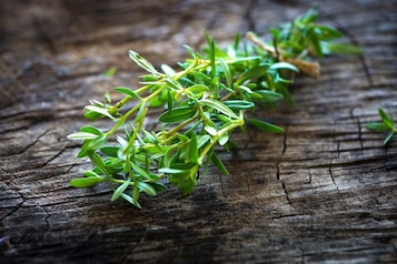 Cząber – czym zastąpić tę przyprawę? 