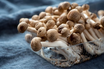 Grzyby shimeji – jak przyrządzić? Ile powinno się je gotować?
