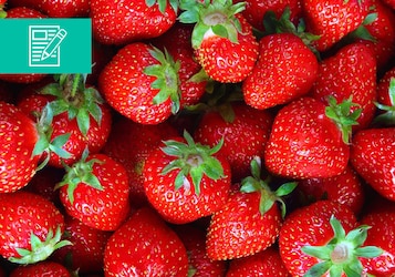 Truskawka - królowa ciast i owoców