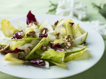 Cykoria. Znana i nieznana.