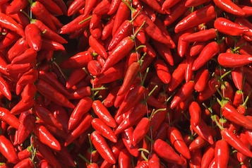 Papryka peperoni – czym różni się od jalapeno i od chili? Czy jest ostra?