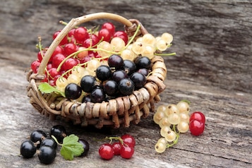 Porzeczki - kuszą kolorami