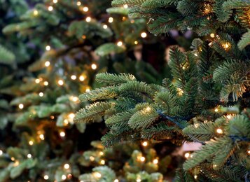 Przygotowania do Świąt. Ciąg dalszy.