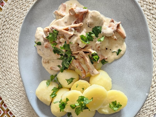 Przepis na Kurczak w sosie kurkowym Kurczak w sosie kurkowym