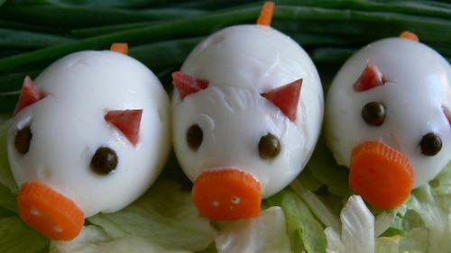 Jajeczne świnki na lodowym wypasie