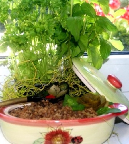 Kasza gryczana na grzybowym bulionie 