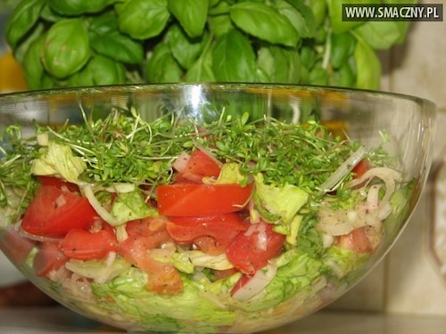 Kolorowa surówka z zielonej sałaty i rzeżuchy