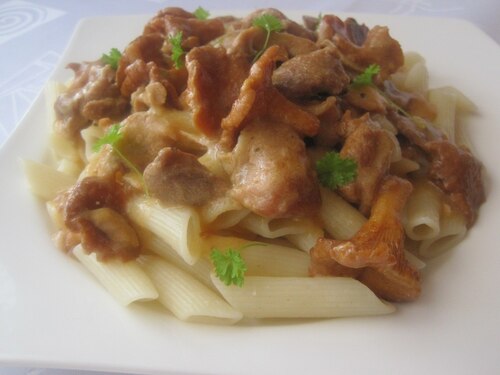 Przepis na Makaron penne z Gulaszem z indyka i kurkami Makaron penne z Gulaszem z indyka i kurkami