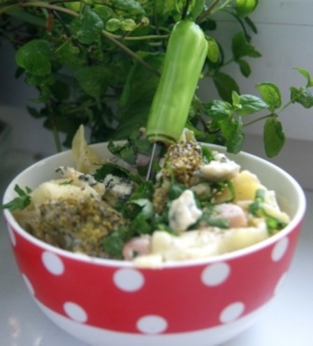 Przepis na Makaron z sosem serowym i brokułami Makaron z sosem serowym i brokułami