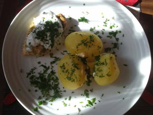 Przepis na Pierś z kurczaka w pietruszce i płatkach owsianych Pierś z kurczaka w pietruszce i płatkach owsianych