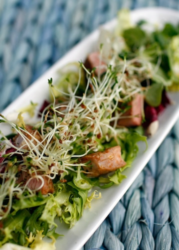 Sałatka z karkówką i kiełkami