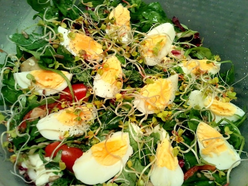 Sałatka z kiełkami