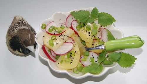 Sałatka ziemniaczana z rzodkiewką 