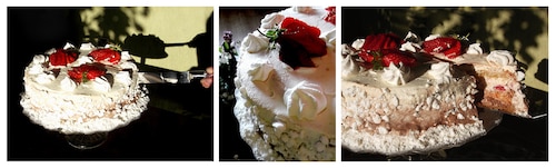 Tort - wspomnienie lata Pavlovej