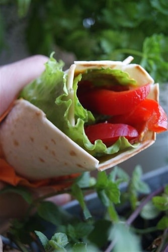 Tortilla z sałatką