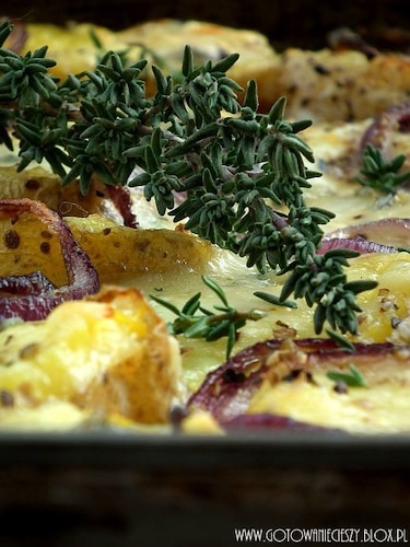 Zapiekanka ziemniaczana