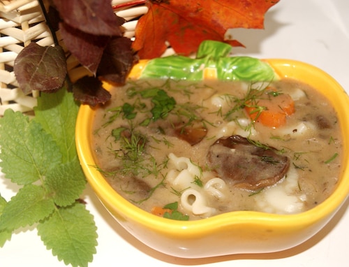 Zupa grzybowa z makaronem