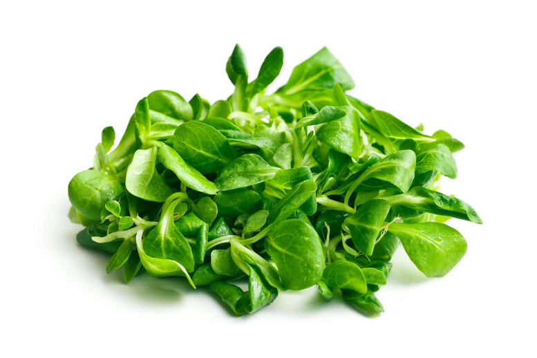 Roszponka – jak jeść? Jak smakuje?