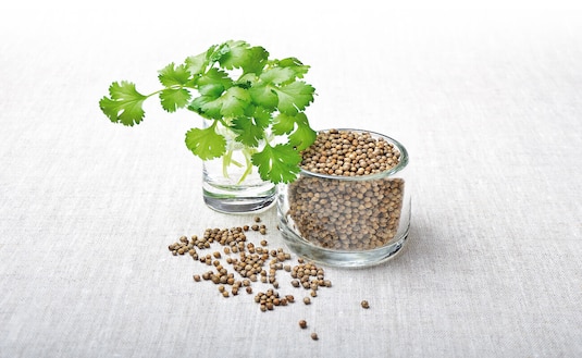 Czym można zastąpić kolendrę? 4 zamienniki