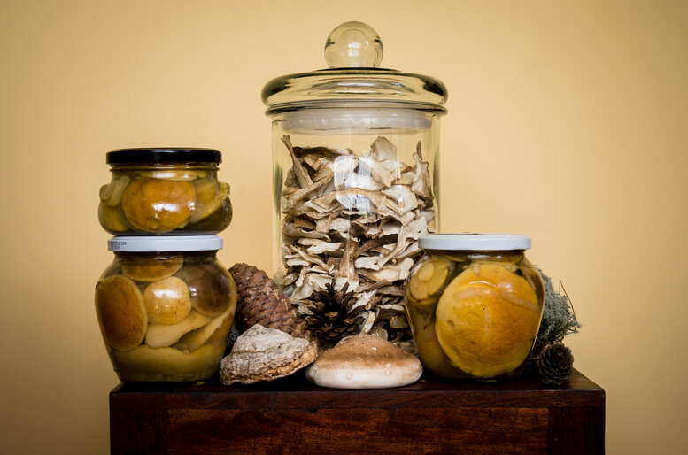 Jak zamarynować podgrzybki w occie?