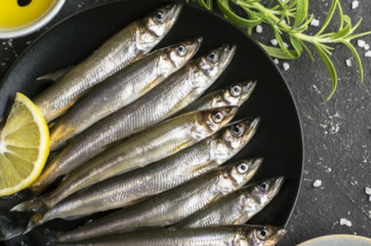 Anchois