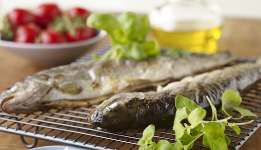 Soczyste smakołyki z grilla. Ryby.