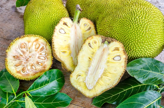 Jackfruit – co to jest za owoc? Jak smakuje?