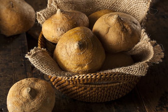 Jicama (kłębian kątowaty)