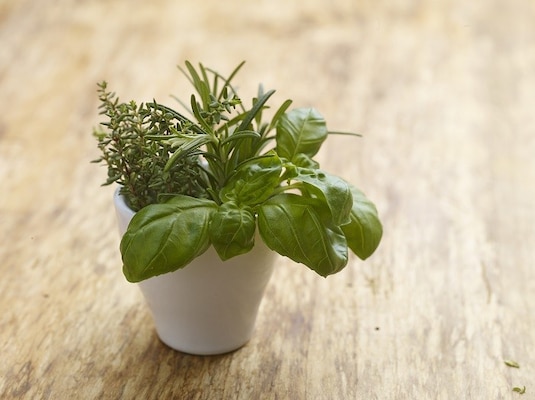 Jak dobierać zioła do dań? Aromatyczna tajska zupa.